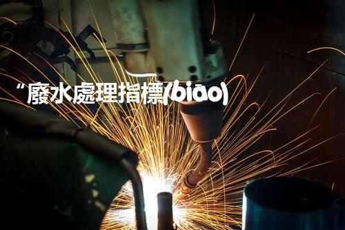 “廢水處理指標(biāo)解析：從COD、BOD到滲出液，你需要知道的一切”